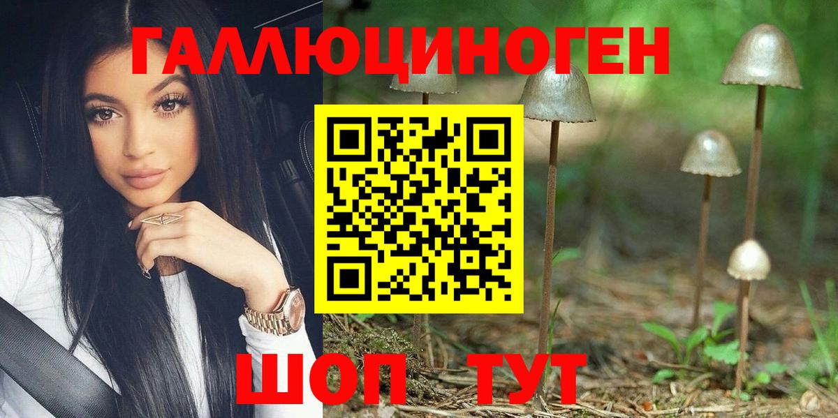 Галлюциногенные грибы прущие грибы  Псилоцибиновые грибы MAGIC MUSHROOMS  Вход с VPN  Заволжье 