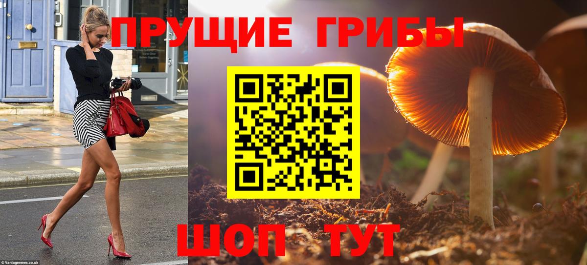 Галлюциногенные грибы GOLDEN TEACHER Заволжье